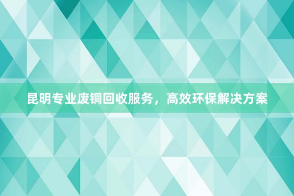 昆明专业废铜回收服务，高效环保解决方案